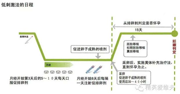 江苏医院供卵试管婴儿技术