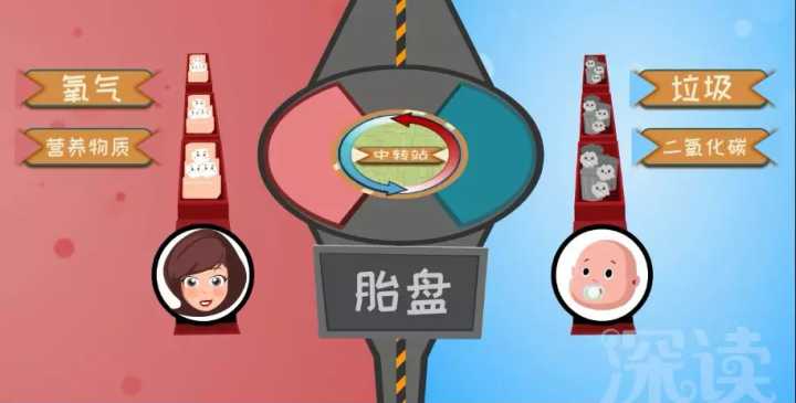 借卵试管婴儿的诞生，有多复杂？一文了解6大流程，看完想干啥？