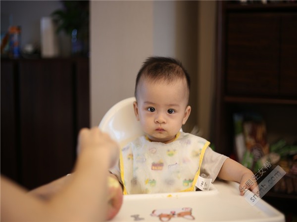 如果我想做借卵试管婴儿，怎样才能提高卵子的质量？