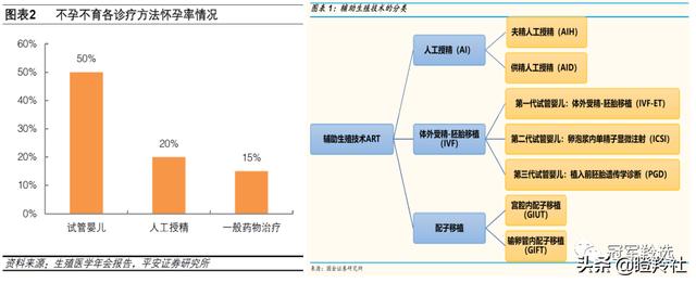 供卵试管婴儿两个月的胎儿心脏-两个月的胎儿有胎儿心脏吗