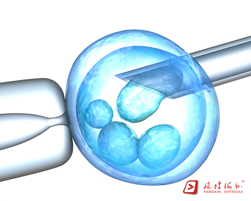 供卵试管婴儿是什么技术