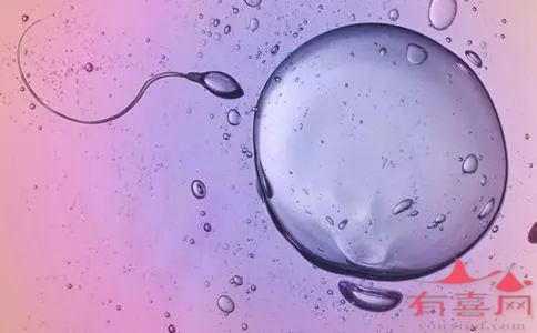 哪家医院做供卵公立自怀试管一次成功率高？