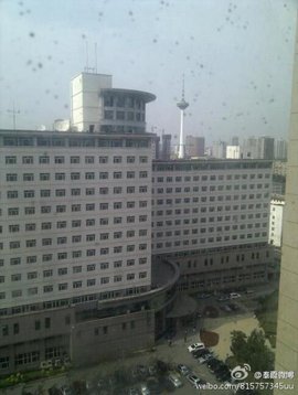 加拿大的男女同性恋供卵试管三代自怀