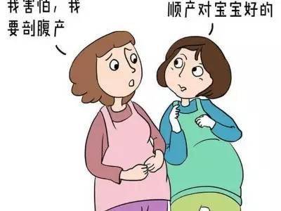 贵州省人民医院赠卵私立供卵试管能生双胞胎吗附费用清单