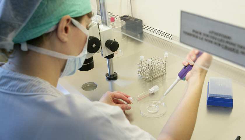 借卵做二代供卵私立代怀试管的费用要多少钱附借卵费用明细