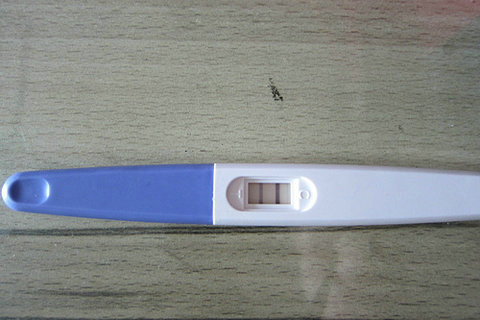 做借卵试管婴儿手续