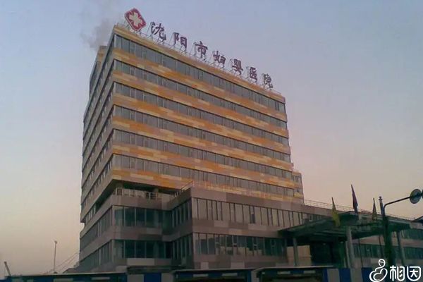 供卵试管婴儿全过程图解