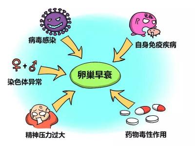 男方问题赠卵试管成功率