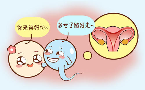 供卵试管婴儿移植听到胎心应该几个月