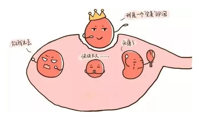 江苏南京市中心医院试管婴儿