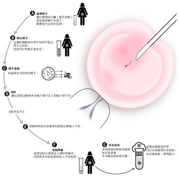 40岁三代借卵试管成功的秘诀一览,做好这五点是成功的关键