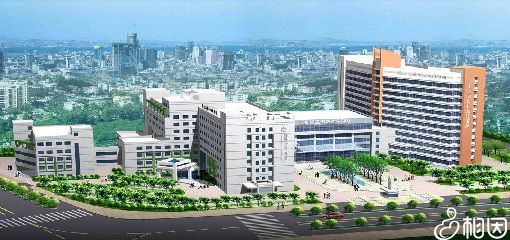 南京借卵做试管婴儿医院高龄代生孩子亲身经历怎么降低风险？