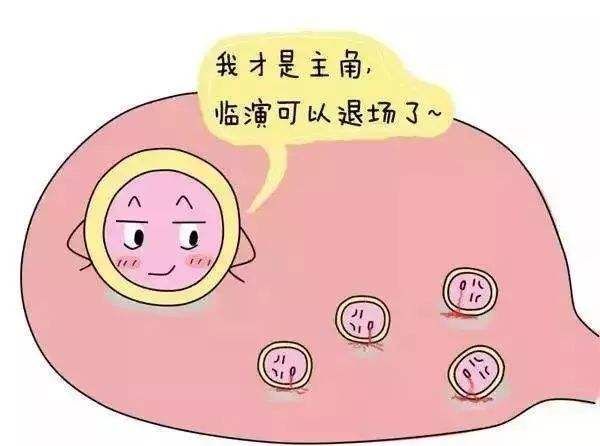 移植一个4cb囊胚的着床率大概有多少+
