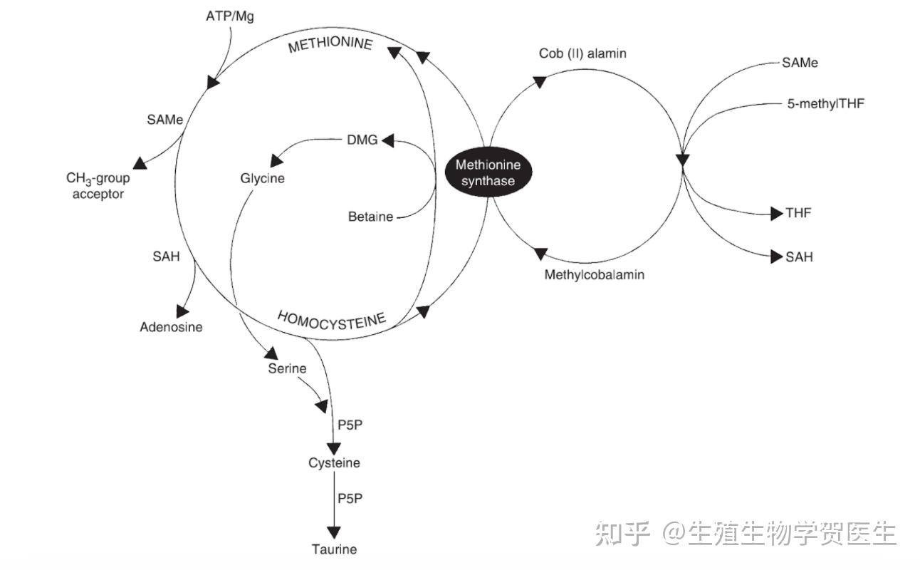 江苏南京医院借卵试管代怀流程大概要多少钱