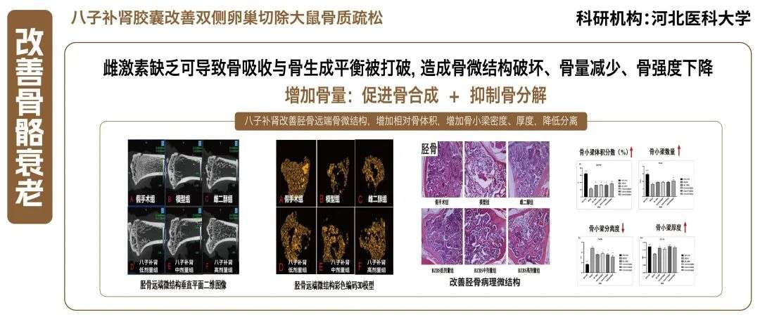 月经周期的基本生理过程是怎样的