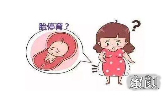 试管供卵中介骗局+在南京市供卵被骗说一下