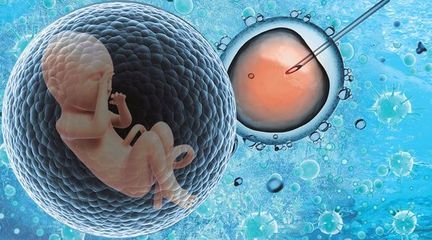 江苏南京在试管代怀总费用多少婴儿要多少钱