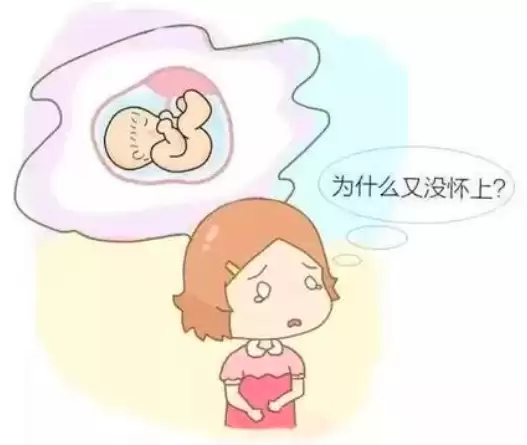 移植前要做哪些检查