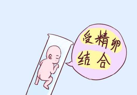 移植前要做哪些检查