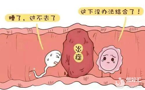 符合什么条件才可以可以找人代怀的国家婴儿