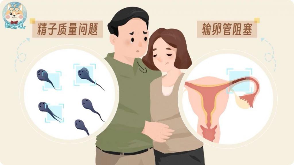 复发性流产适合失独家庭试管生子婴儿吗（有没人了解）