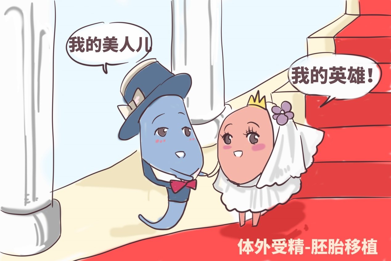 58岁绝经10年的女人代怀捐卵中介能生孩子吗