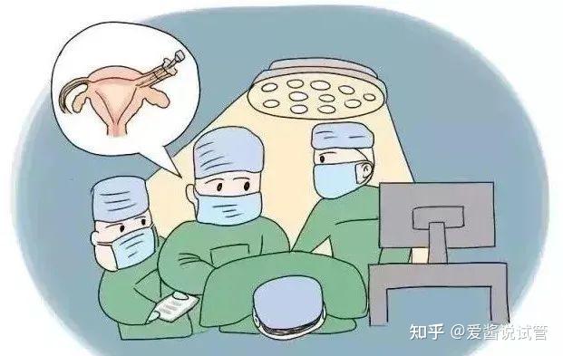 2024南京市省妇幼借卵试管代生费用费用大约多少