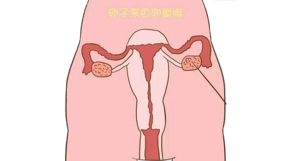 2024南京代怀做供卵试管医院哪家好,高龄南京市代生宝宝成功率有多少