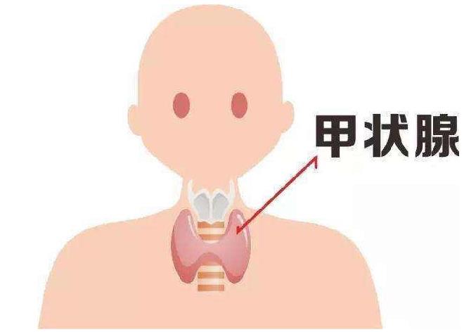 省妇幼三代试管哪个医生好（国内做第三代代怀代生包男孩最好的医院）