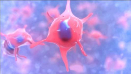 第代怀孕价格排行榜（江苏南京第代怀生男孩）