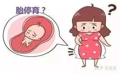 雌二醇高为3000说明卵泡质量好吗