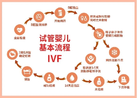 2024去医院生产必带哪些证件和复印件