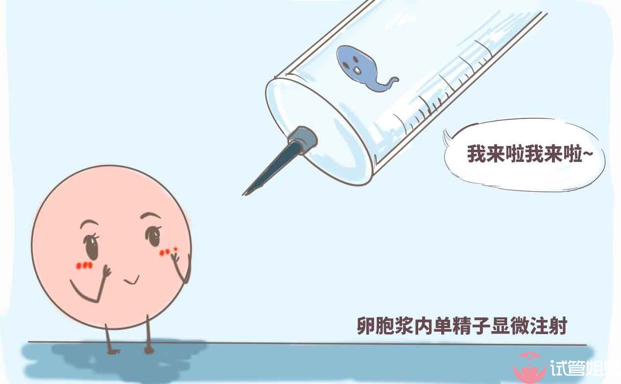 卵巢功能下降的雷区南京合法助孕机构专家帮你避开