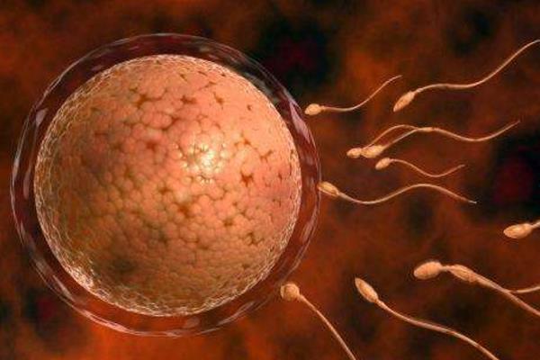 助孕机构电话到南京助孕口碑好+代生助孕搜寻江苏南京助
